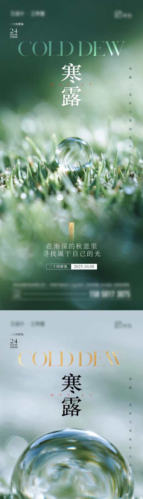 寒露节气海报_源文件下载_PSD格式_750X4870像素-植物,水珠,寒露-作品编号:2025092609571262-志`设˲͓͕͔͐͑͗ٚٛٙ网