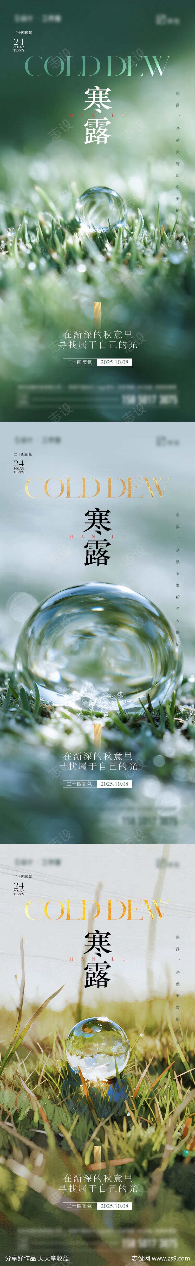 寒露节气海报