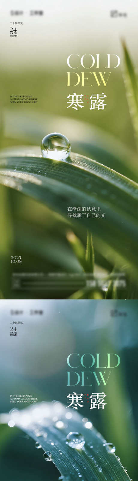 寒露节气海报_源文件下载_PSD格式_750X4870像素-植物,水珠,寒露-作品编号:2025092609456335-志˓设͵网
