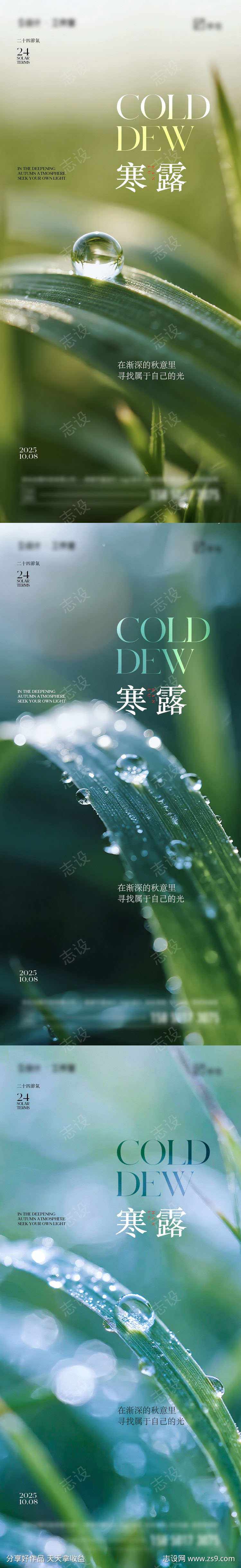 寒露节气海报