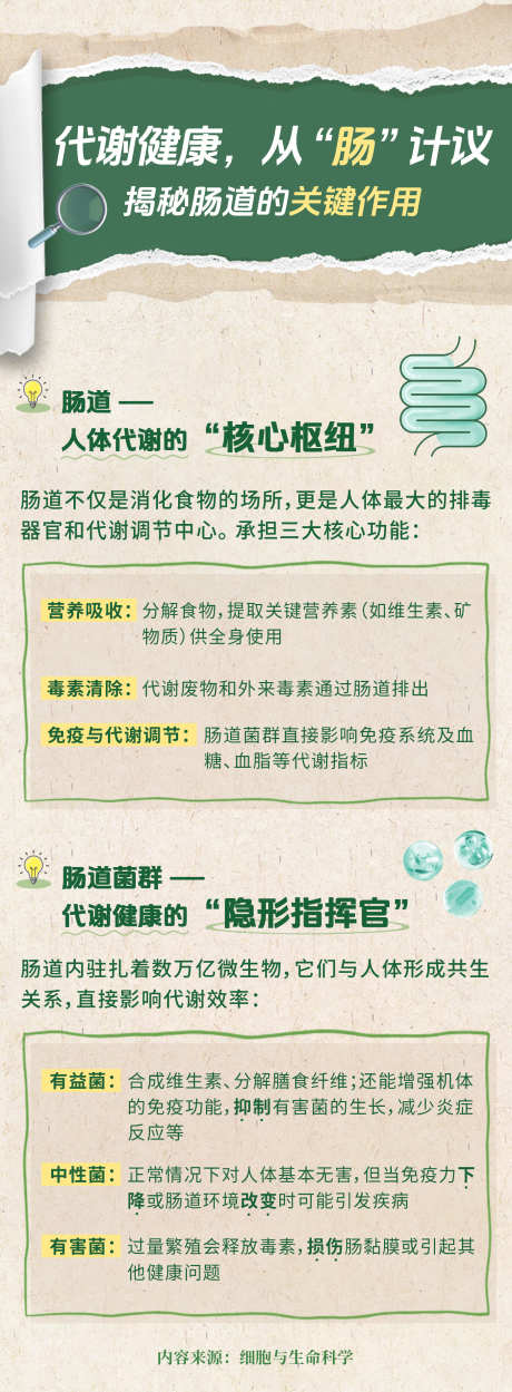 代谢健康海报_源文件下载_PSD格式_1400X3800像素-代谢健康,健康科普,养生科普-作品编号:2025092613145056-志ˈ̹设˰网