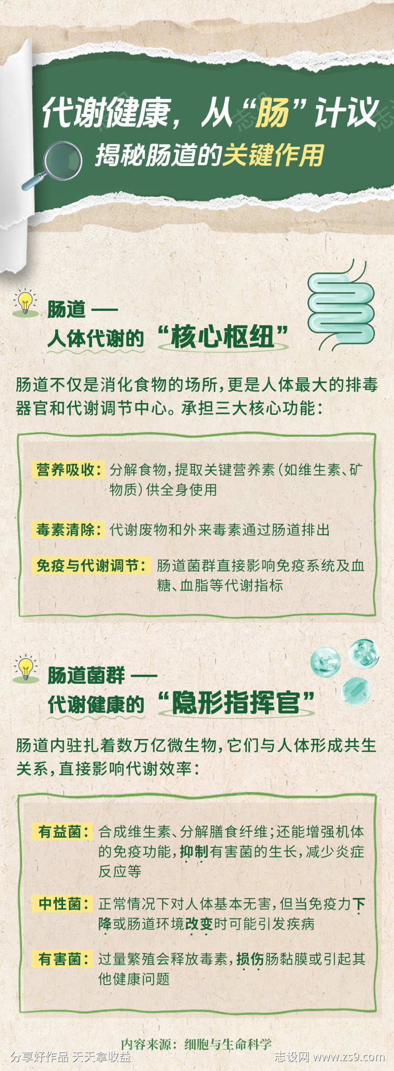 代谢健康海报