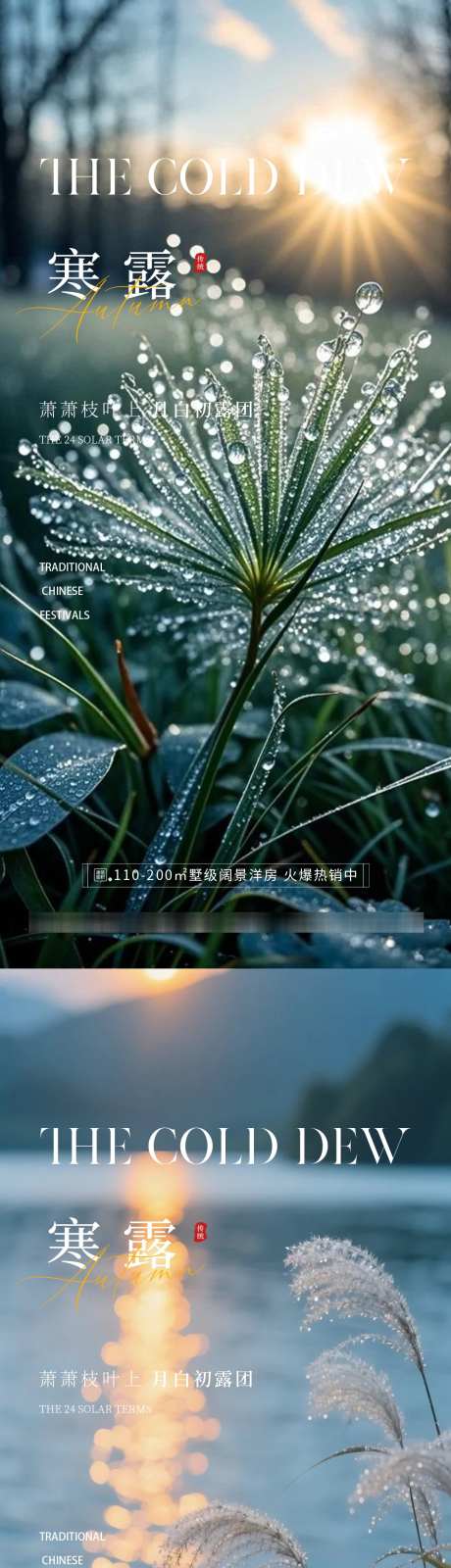 寒露霜降大寒_源文件下载_PSD格式_1080X4676像素-露珠,蓝色,霜降大寒-作品编号:2025092616496095-志͵设‛ۛ网
