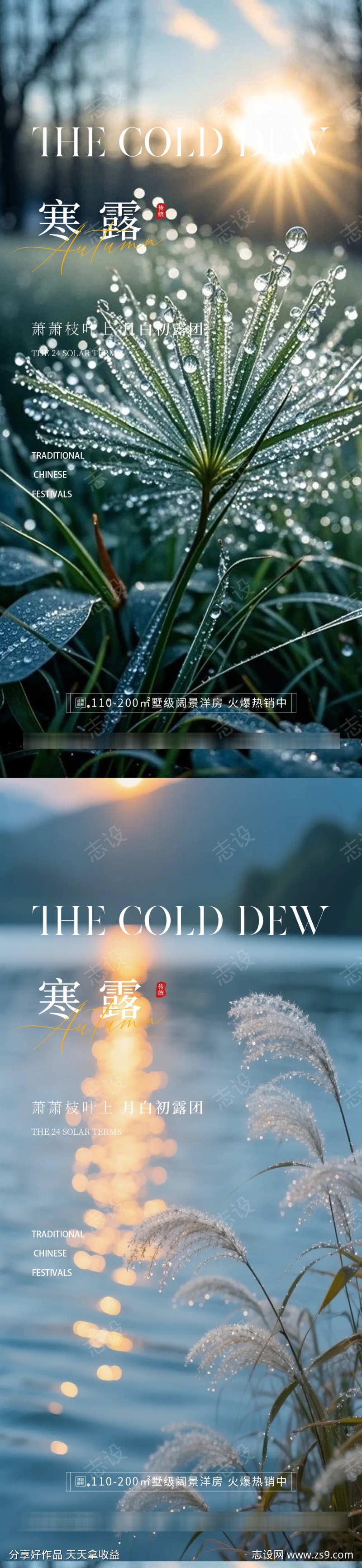 寒露霜降大寒