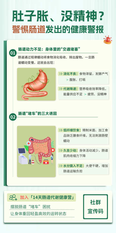 肠道养生海报_源文件下载_PSD格式_1200X2400像素-科普,肠道,养生-作品编号:2025092616305492-志.设.网