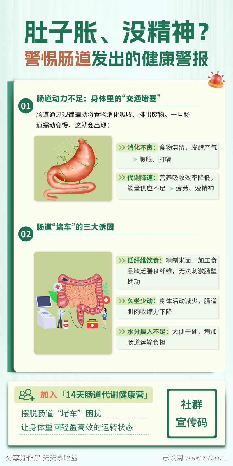 肠道养生海报