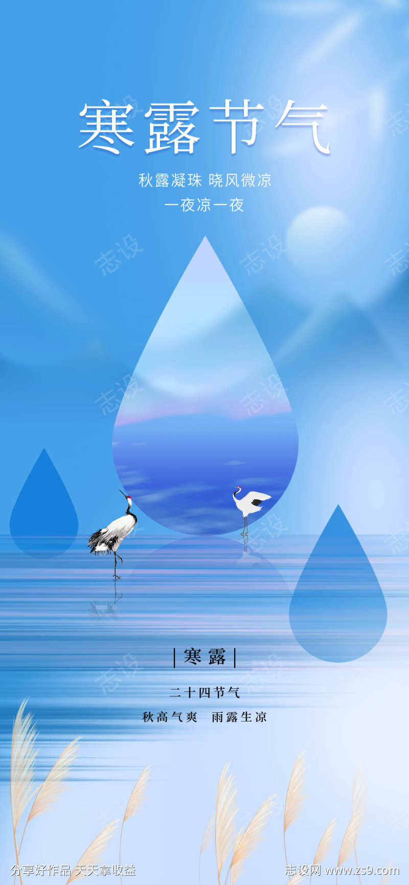 寒露节气海报