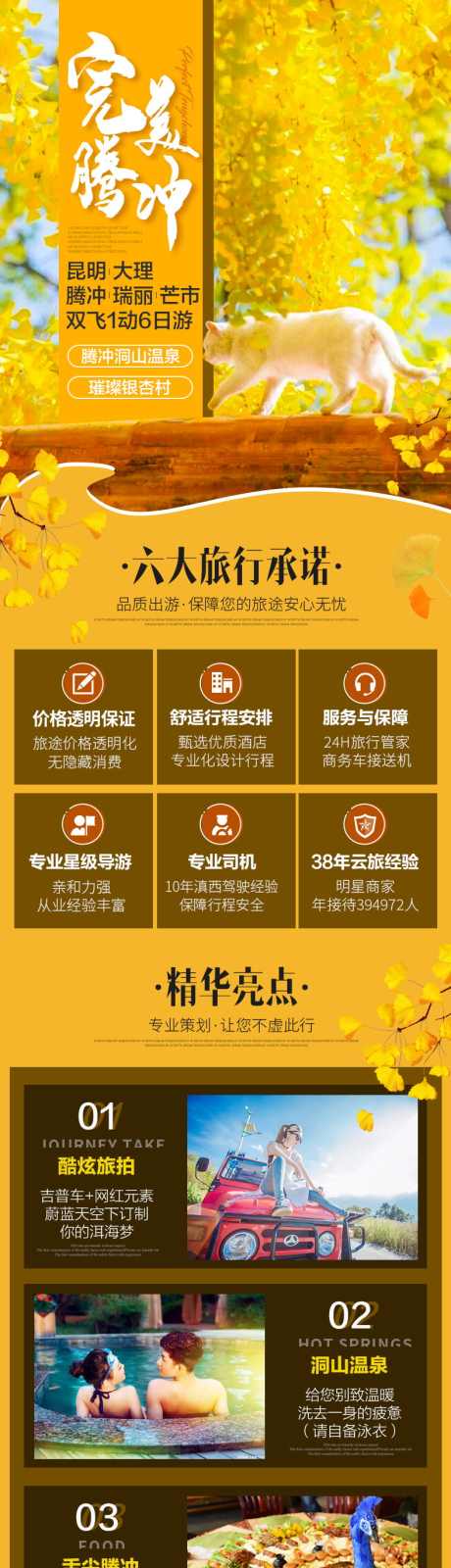 云南腾冲旅游详情页_源文件下载_PSD格式_790X14205像素-北海湿地,银杏村,昆明-作品编号:2025092814298693-志·设˒网