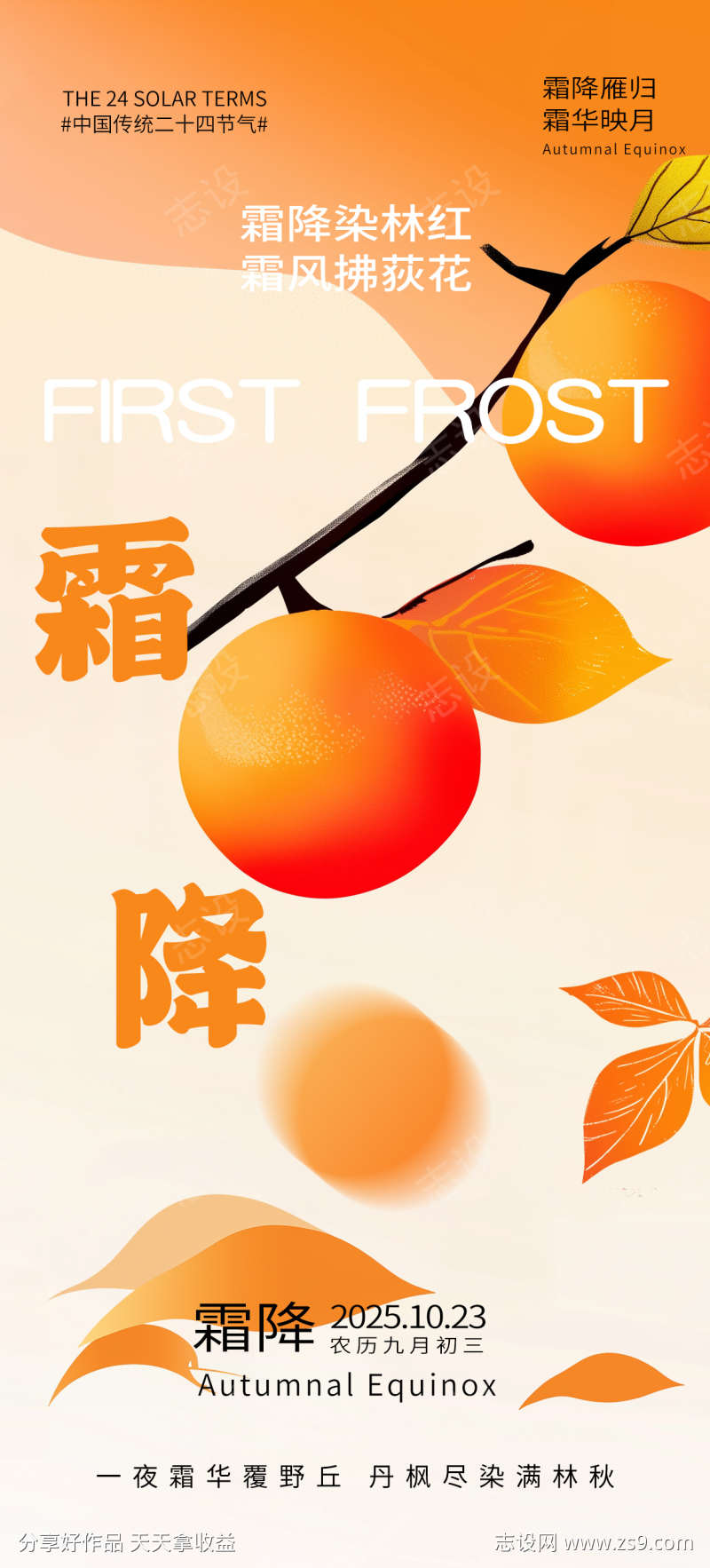 简约风手绘柿子霜降海报