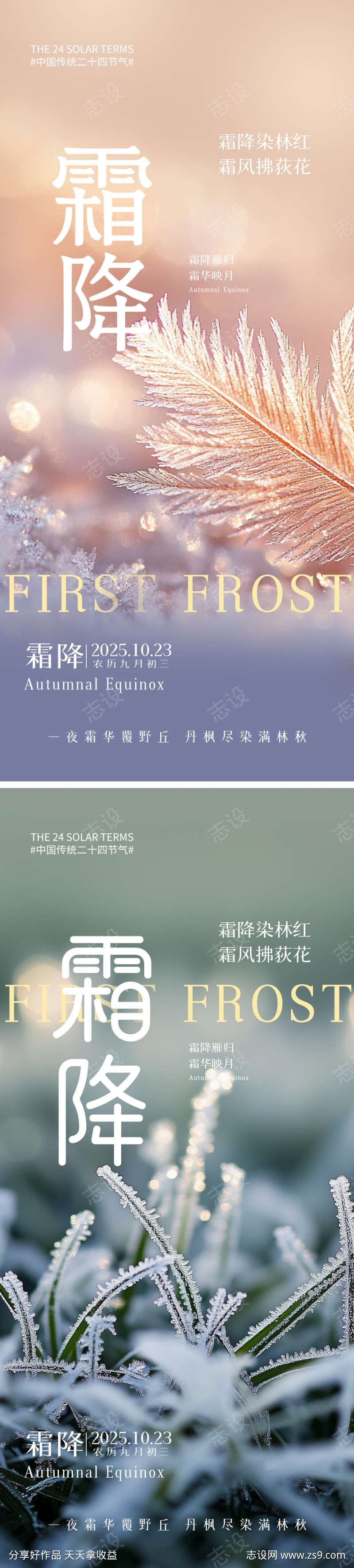 霜降节气海报