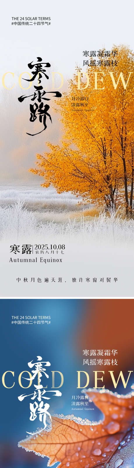 寒露节气海报_源文件下载_PSD格式_1242X5500像素-下霜,枫叶,节气-作品编号:2025092816286729-志`设ˈ̹网