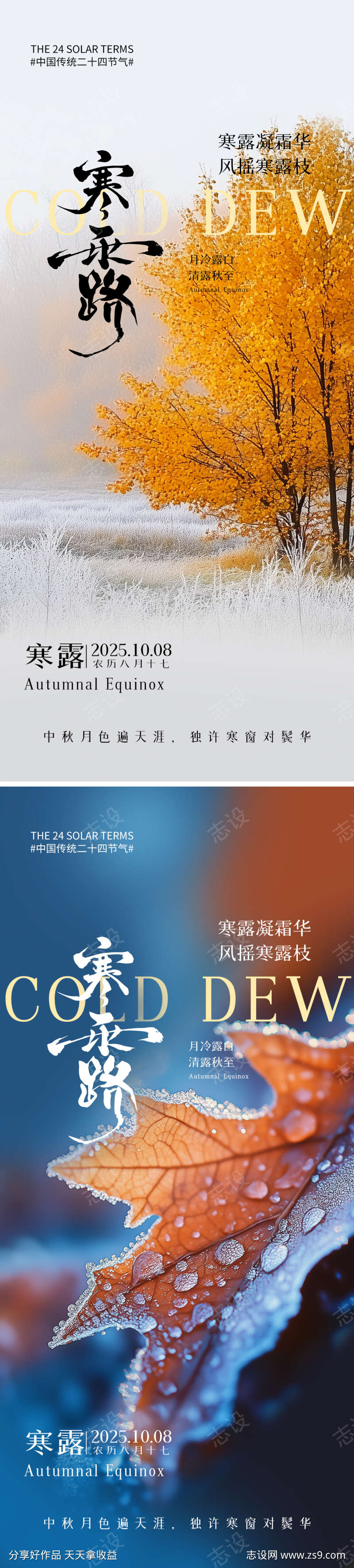 寒露节气海报