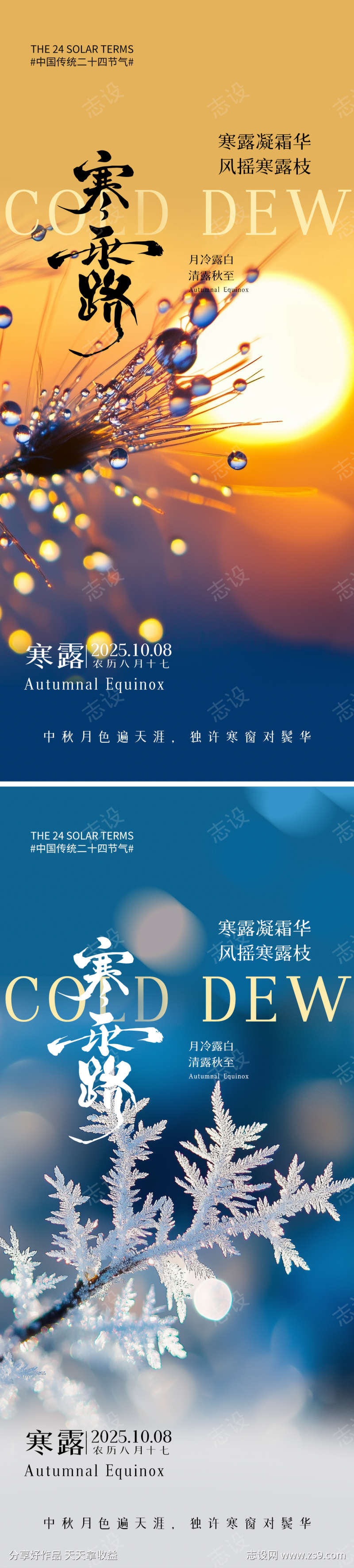 寒露节气海报