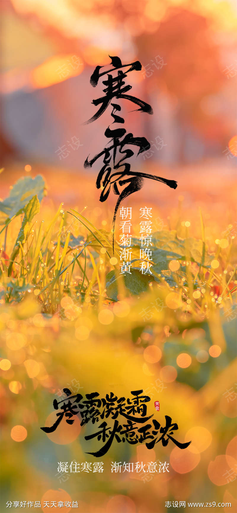 寒露节气海报