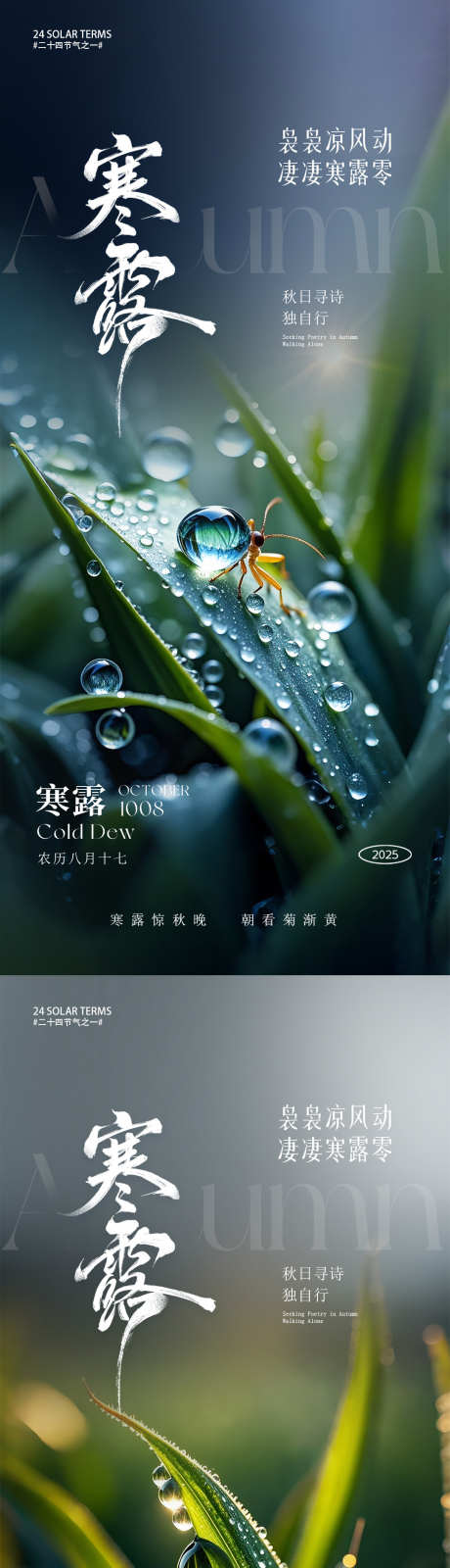 寒露节气海报_源文件下载_PSD格式_1080X4676像素-微距,摄影,露水-作品编号:2025092914244824-志˯设˰网
