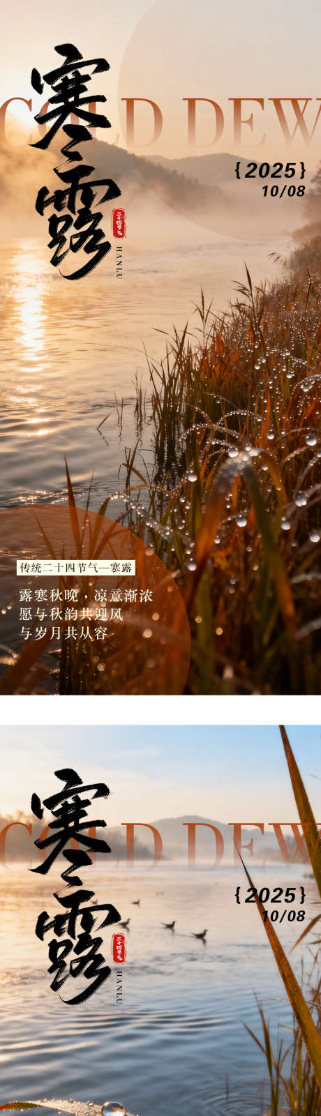 寒露节气海报_源文件下载_PSD格式_1080X4780像素-系列,唯美,露珠-作品编号:2025092914393569-志˘设ʹ֣֤֚֫֗ׄ网