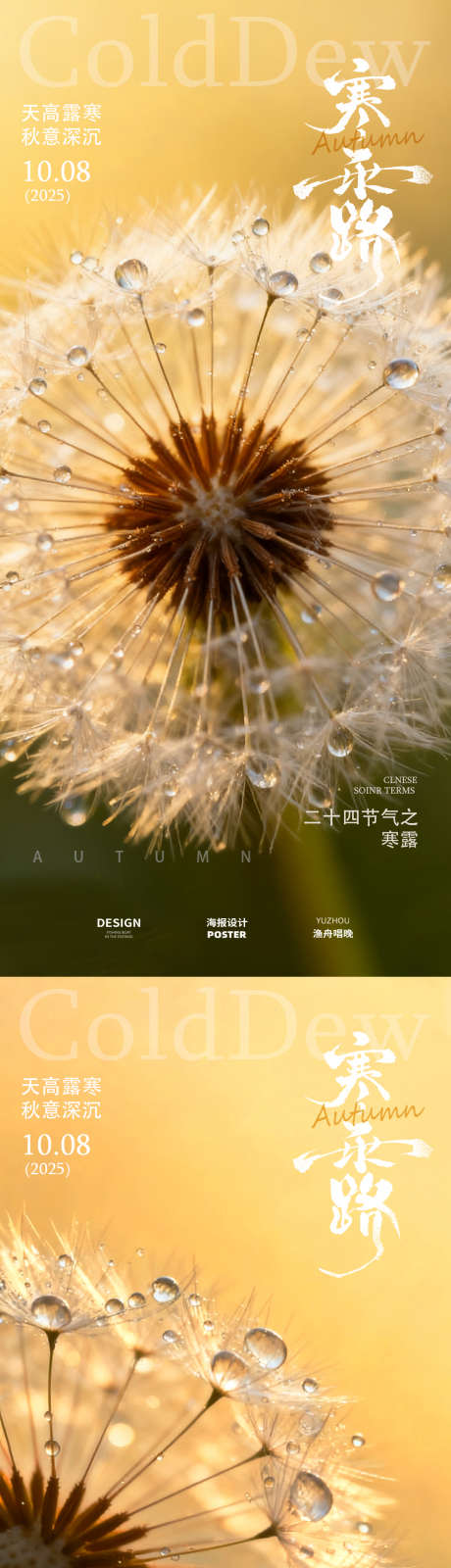 寒露露珠节气海报_源文件下载_PSD格式_1080X4672像素-海报,寒露,节气-作品编号:2025093010078109-志˒设˘网
