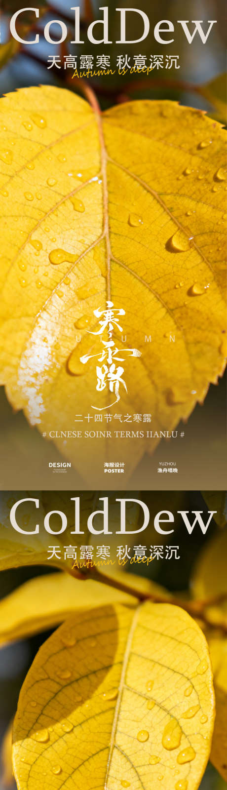 寒露露珠节气海报_源文件下载_PSD格式_1080X4672像素-寒露,节气,海报-作品编号:2025093010086652-志˙设˜网