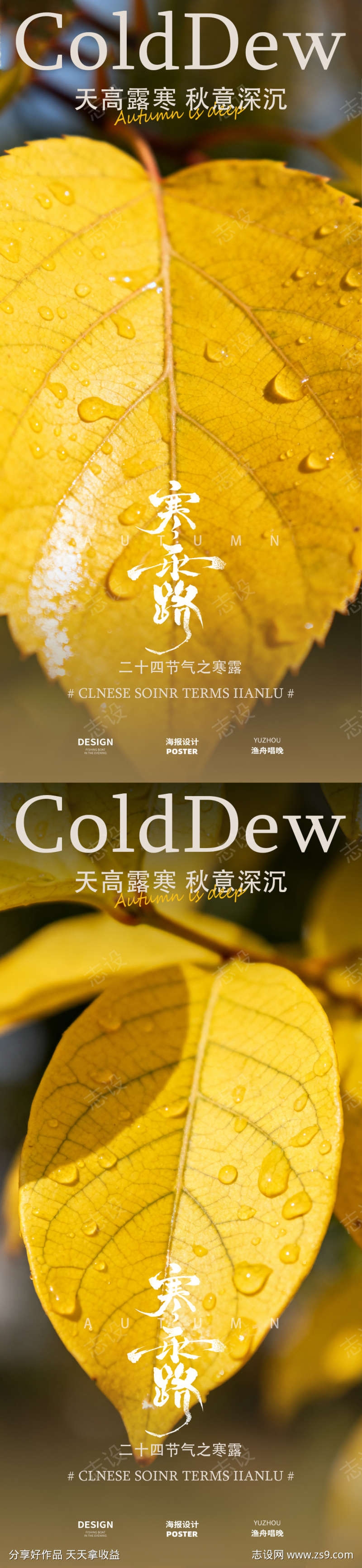 寒露露珠节气海报