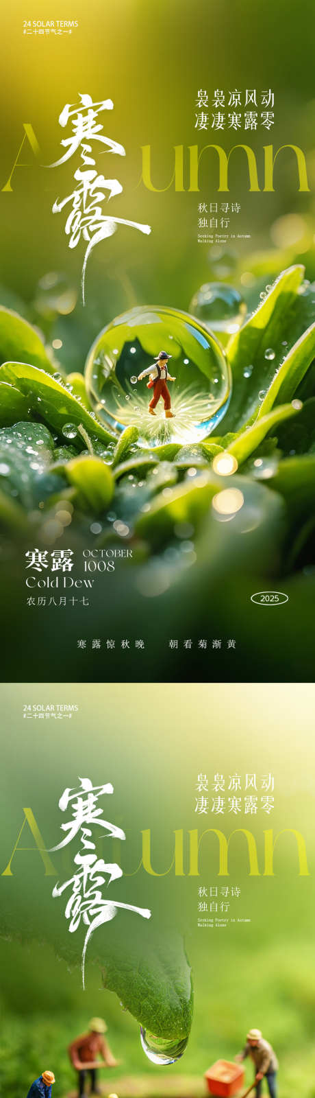 寒露节气海报_源文件下载_PSD格式_1080X4676像素-微距摄影,露水,秋季-作品编号:2025093010269588-志′设‛ۛ网