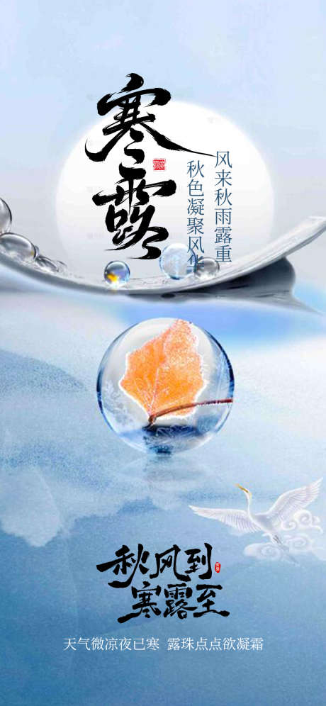 寒露节气海报_源文件下载_PSD格式_1080X2338像素-露水,节气,寒露-作品编号:2025093011057134-志·设.网