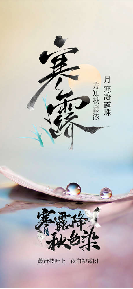 寒露节气海报_源文件下载_PSD格式_1080X2338像素-节气,露珠,寒露-作品编号:2025093011091587-志˘设˒网