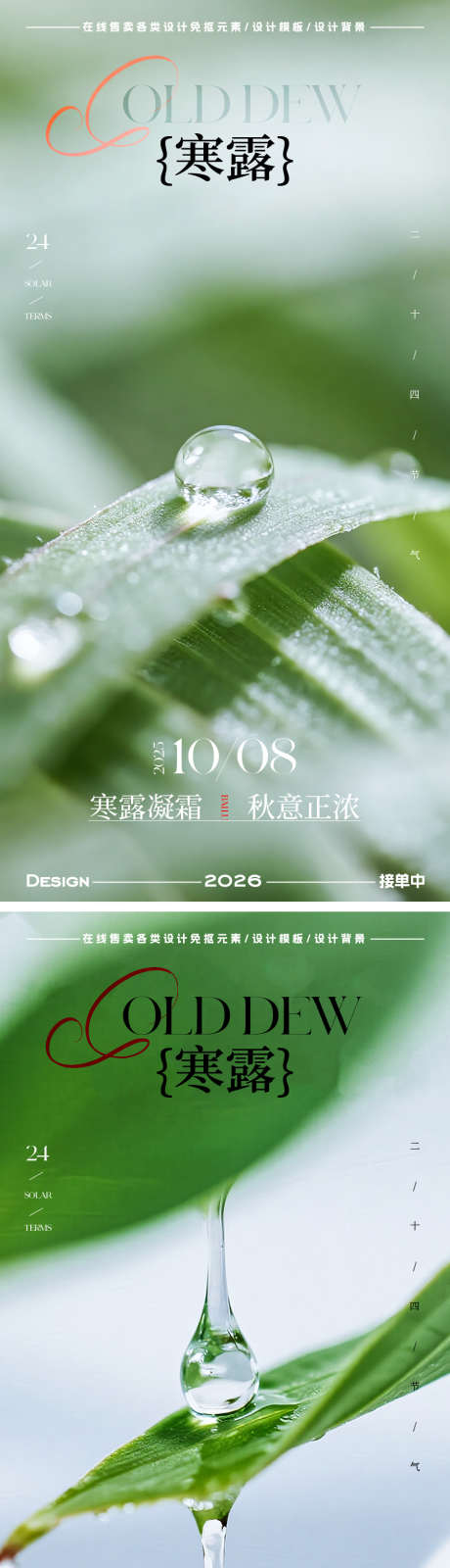 寒露节气海报_源文件下载_AI格式_900X5435像素-简约,水珠,寒露-作品编号:2025093014381219-志‛ۛ设ˆ网