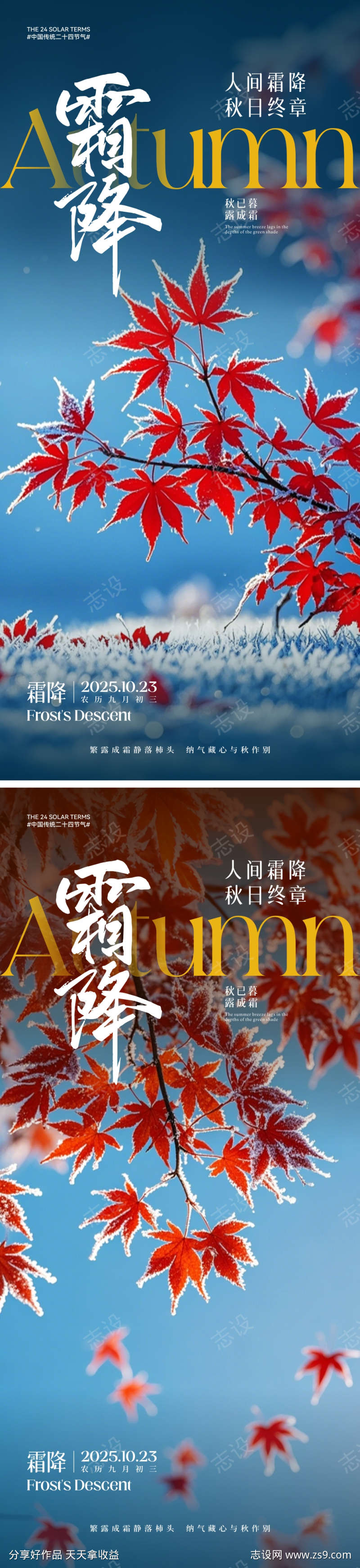 霜降节气海报