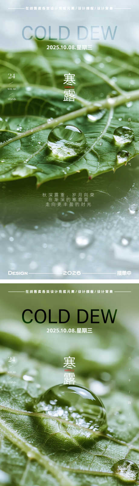 寒露节气海报_源文件下载_PSD,AI格式_900X5445像素-创意,简约,水滴-作品编号:2025100710197695-志͵设·网