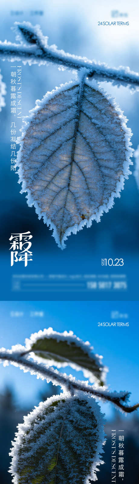 霜降节气海报_源文件下载_PSD格式_750X3245像素-树叶,简约,霜花-作品编号:2025100813245407-志ˌ设ˆ网
