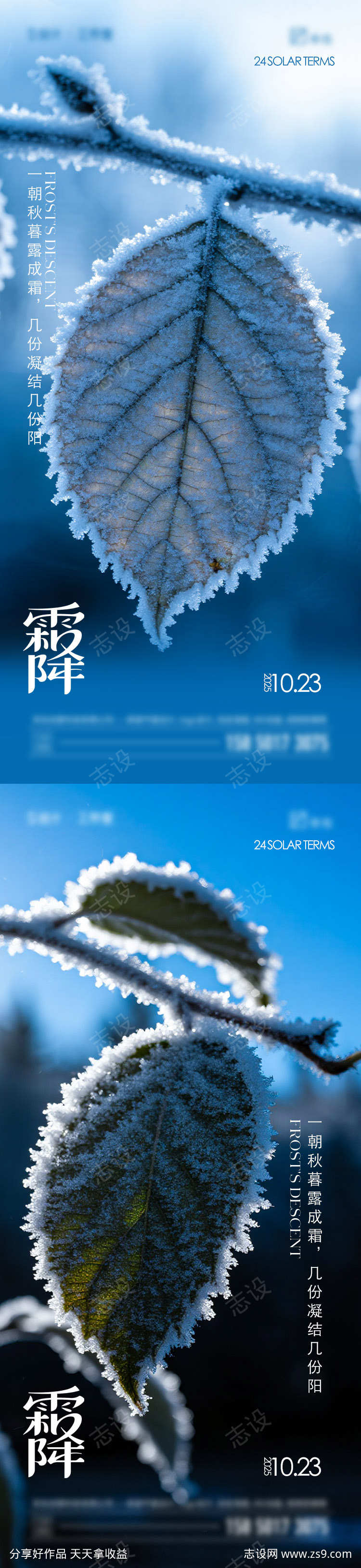 霜降节气海报