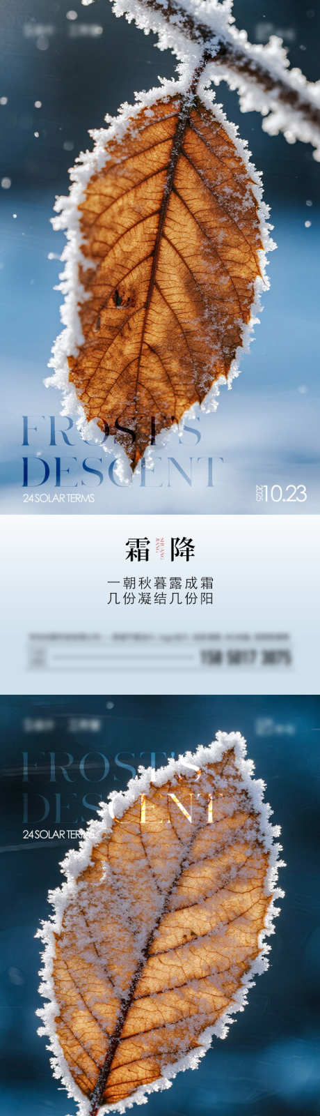霜降节气海报_源文件下载_PSD格式_750X3248像素-树叶,简约,霜花-作品编号:2025100813326335-志ˇ设˒网