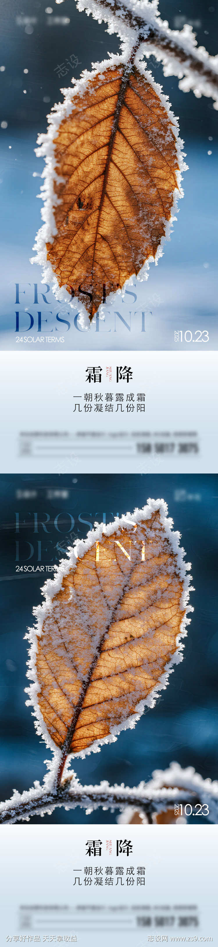 霜降节气海报