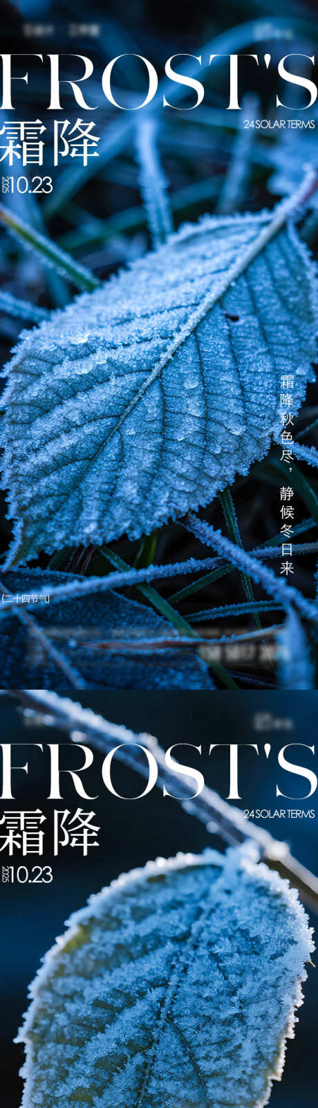 霜降节气海报_源文件下载_PSD格式_750X3250像素-树叶,简约,霜花-作品编号:2025100813335225-志˯设’网