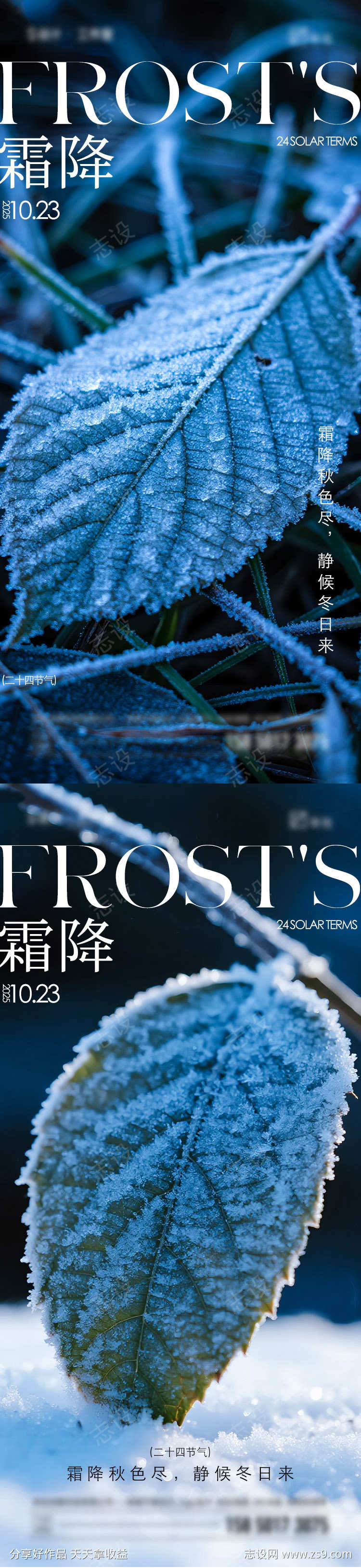 霜降节气海报