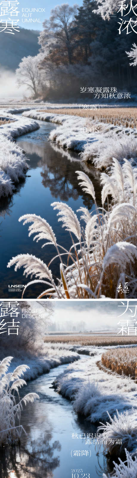 寒露霜降节气海报_源文件下载_AI格式_1125X4908像素-意境,唯美,冰霜-作品编号:2025100816273217-志˓设·网