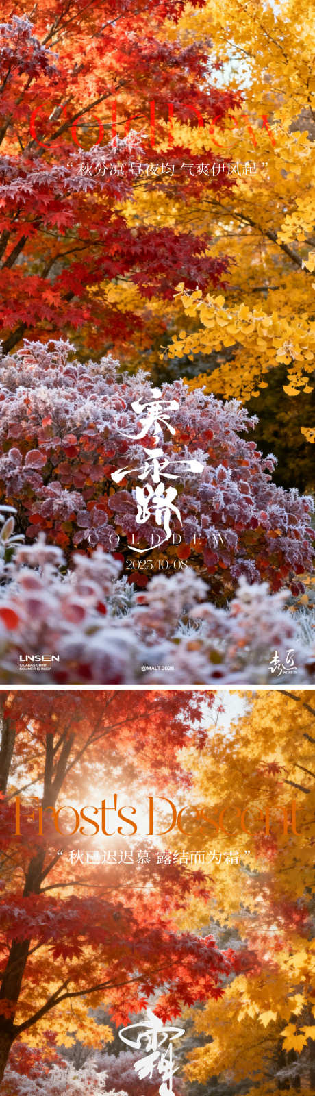 寒露霜降节气海报_源文件下载_AI格式_750X3272像素-意境,唯美,枫树-作品编号:2025100816308104-志ˈ̹设ʹ֣֤֚֫֗ׄ网