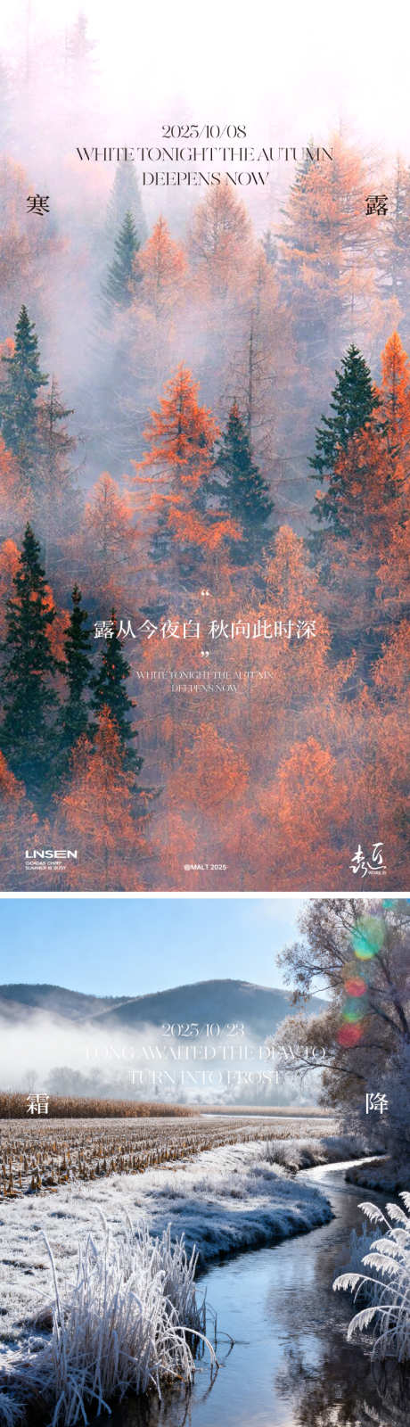寒露霜降海报_源文件下载_AI格式_750X3272像素-意境,唯美,深秋-作品编号:2025100816338970-志ˌ设`网