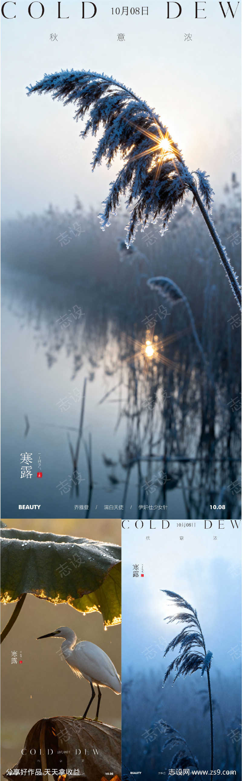 地产文旅寒露节气