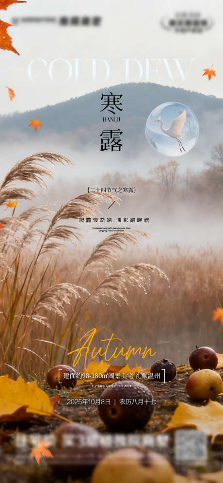 二十四节气之寒露_源文件下载_PSD格式_1172X2532像素-白鹭,气泡,芦苇-作品编号:2025100911154048-志,设ˈ̹网