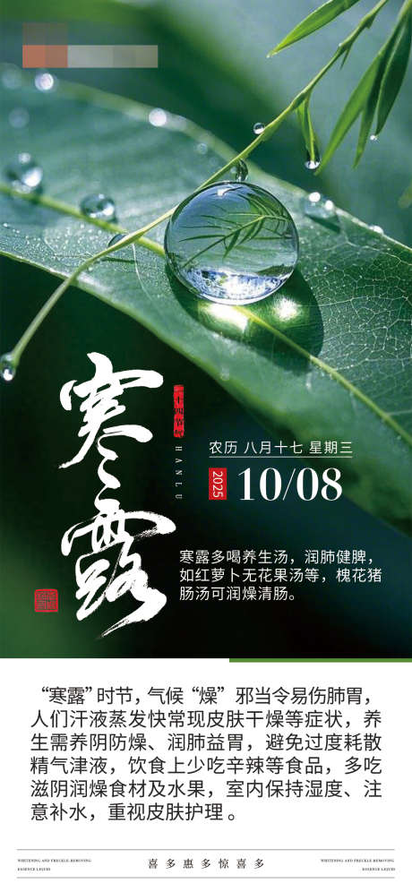 寒露节气海报_源文件下载_PSD格式_1242X2688像素-露珠,寒露,节气-作品编号:2025100915041895-志˙设,网
