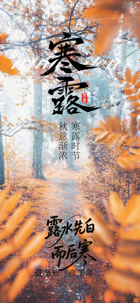 寒露节气海报_源文件下载_PSD格式_1080X2338像素-寒露,节气,秋天-作品编号:2025100915132848-志˙设.网