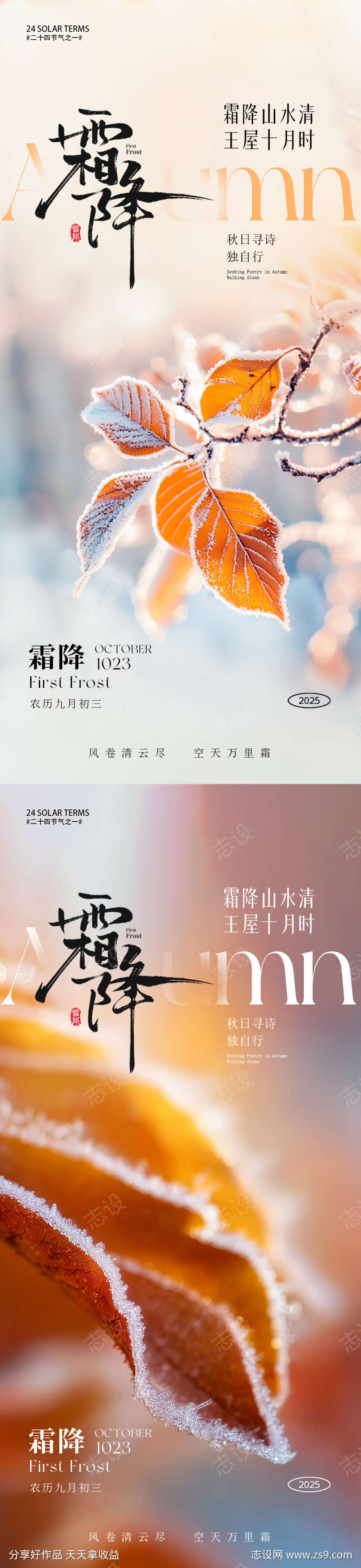 霜降节气海报