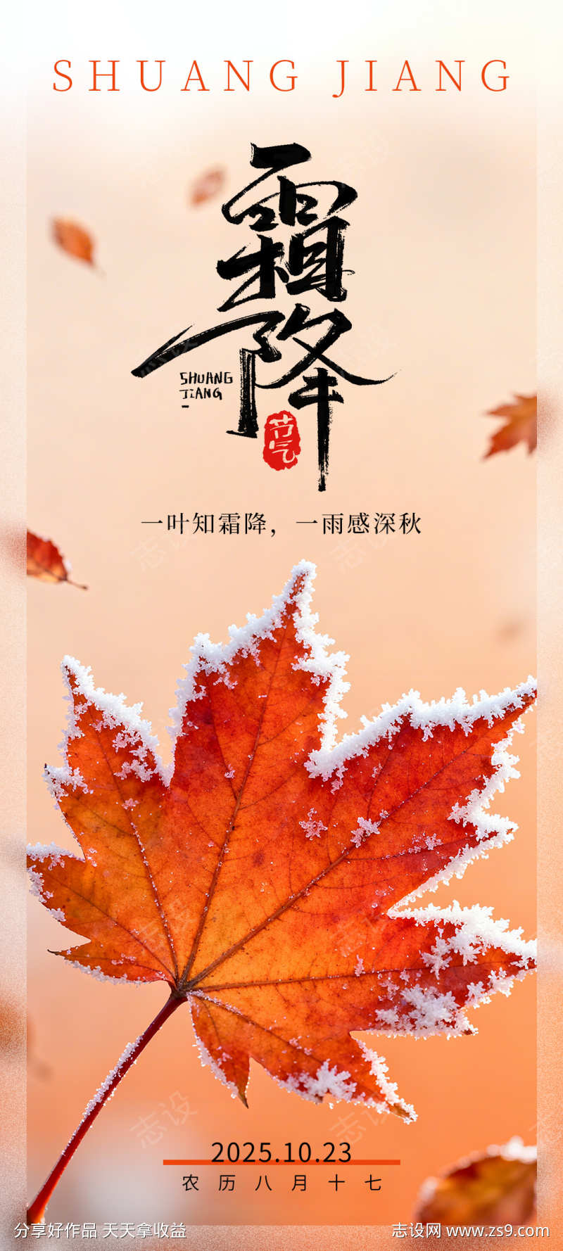 霜降节气海报