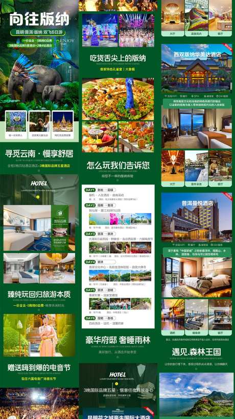 版纳详情页_源文件下载_PSD格式_1080X1920像素-电音节,采茶,体验-作品编号:2025100916377419-志˲͓͕͔͐͑͗ٚٛٙ设‛ۛ网