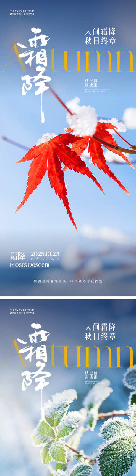 霜降节气海报_源文件下载_CDR格式_2000X4330像素-冰霜,简约,霜-作品编号:2025101013189754-志ˌ设˜网