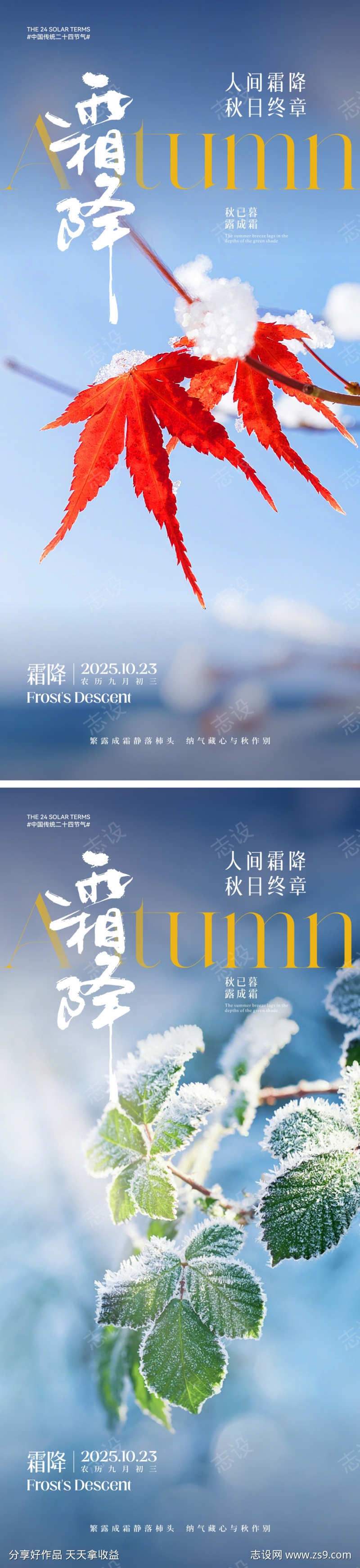 霜降节气海报