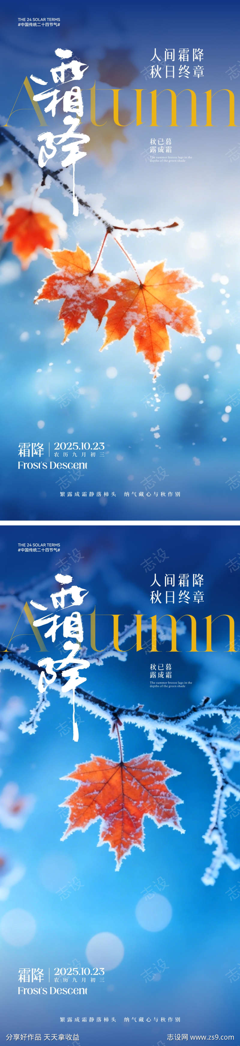 霜降节气海报