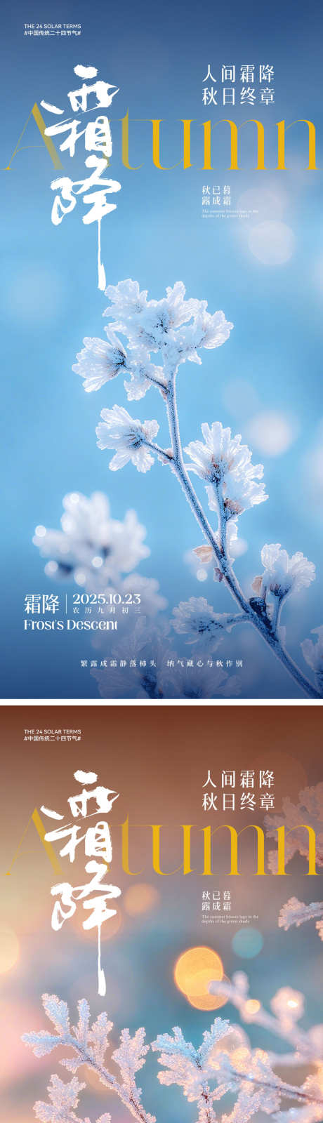 霜降节气海报_源文件下载_CDR格式_2000X4330像素-冰霜,简约,霜-作品编号:2025101013179314-志˯设˜网