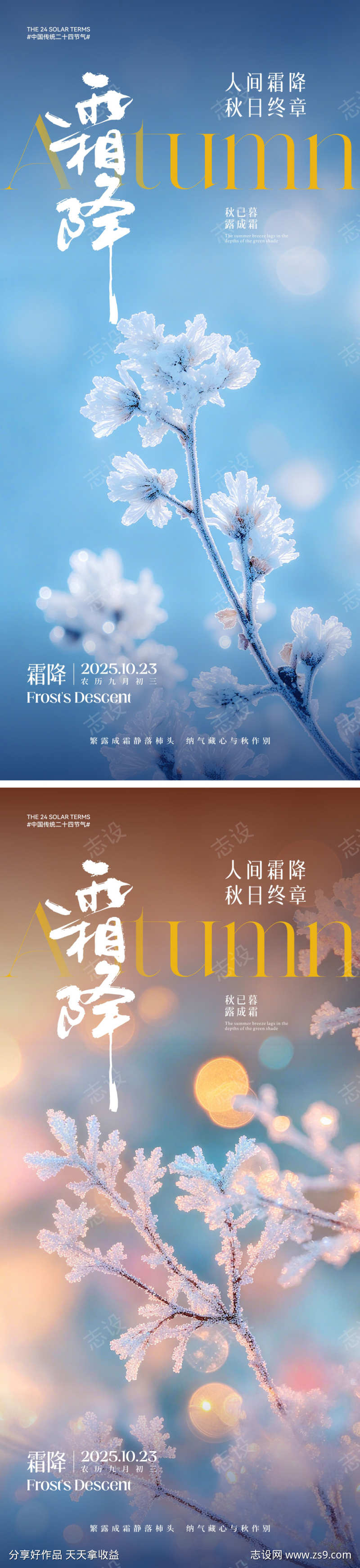 霜降节气海报